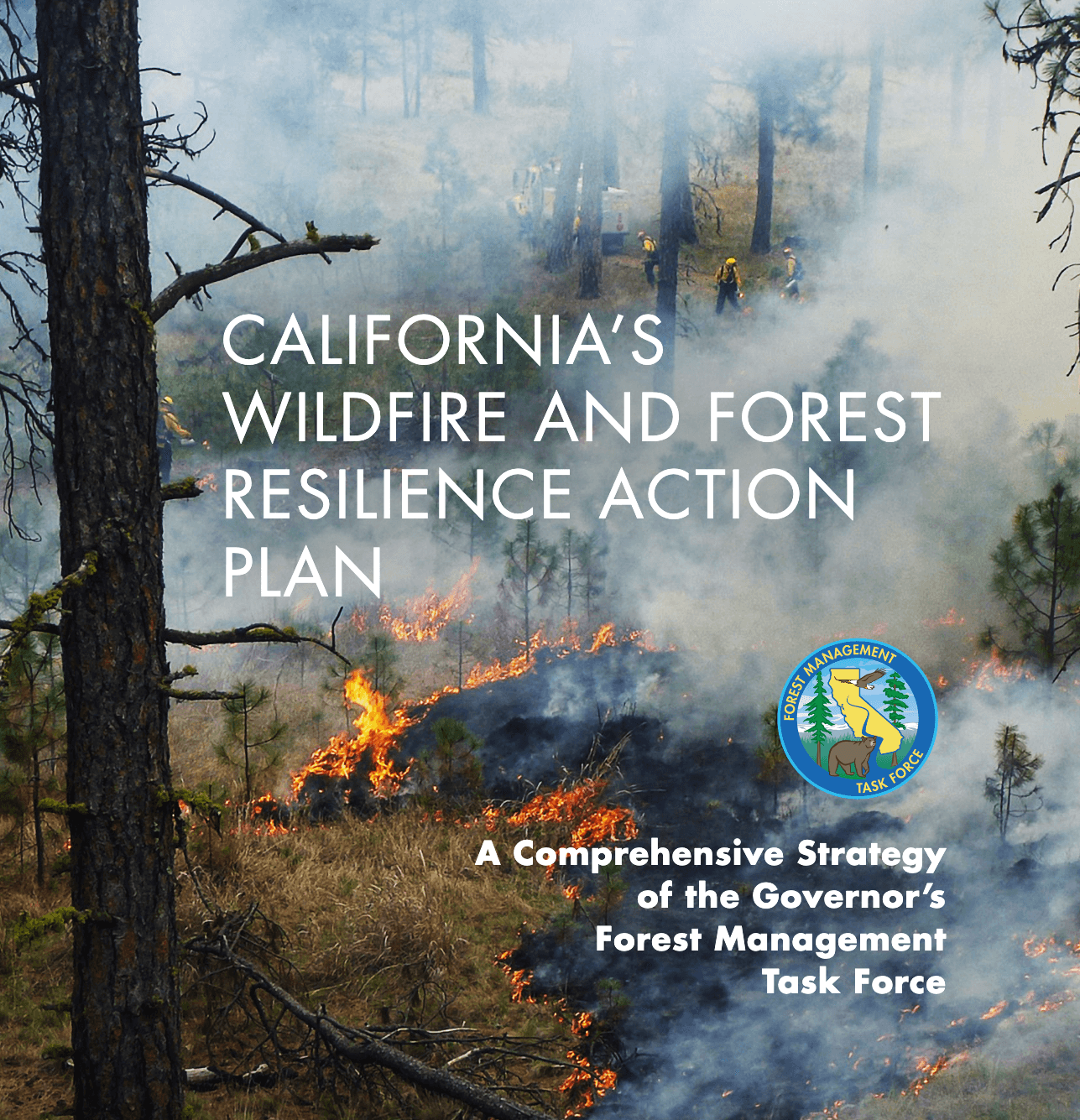California’s-Wildfire-and-Forest-Resilience-Action-Plan-Recommendations-of-the-Governor’s-Forest-Management-Task-Force-californiawildfireandforestresilienceactionplan-pdf(1)